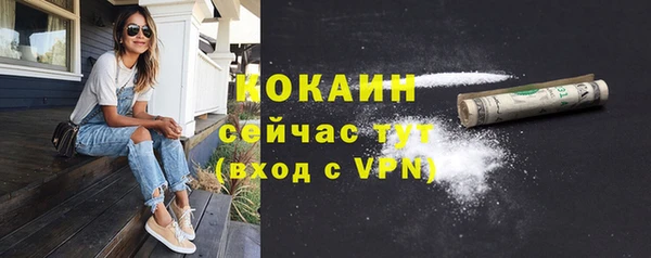 гидра Аркадак