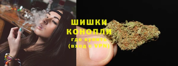 гидра Аркадак