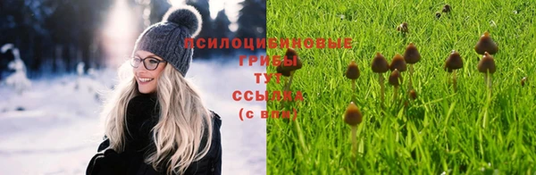 jwh Алзамай