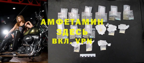 гидра Аркадак