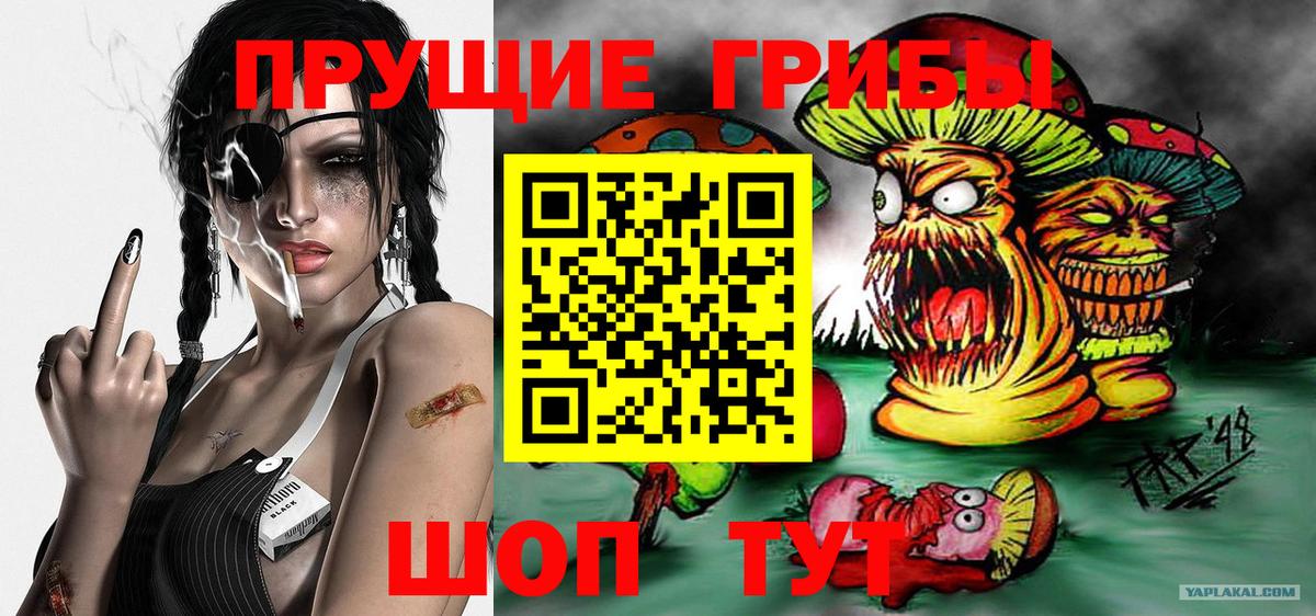 Псилоцибиновые грибы GOLDEN TEACHER  Вход с VPN  Майкоп 